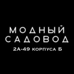 Orif Sattorov