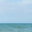Галина Владимировна