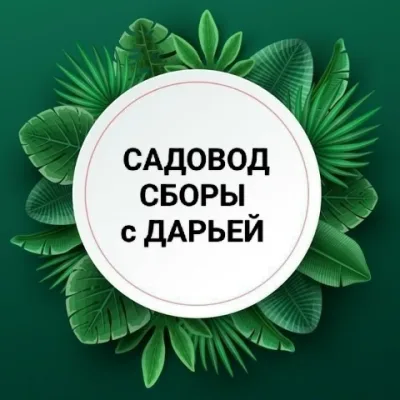 Садовод сборы с Дарьей