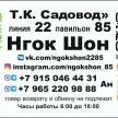 Динь Нгок Ву