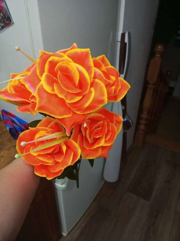 Фото из отзыва