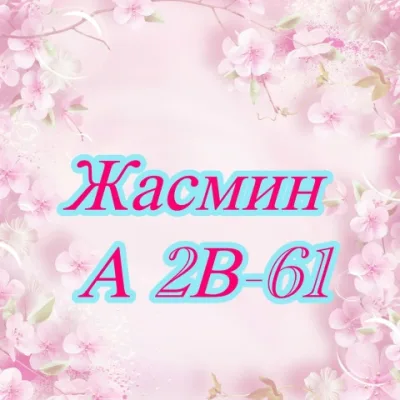 Жасмин - женская одежда | Садовод корпус А 2В-61