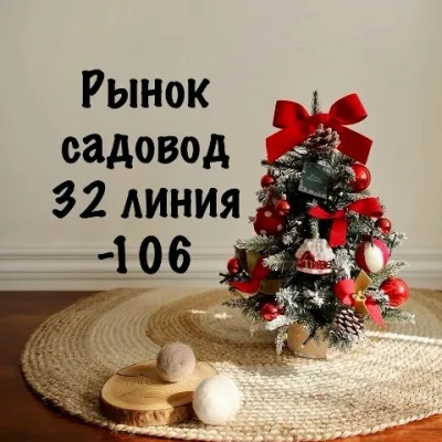 Садовод 9 линия —01