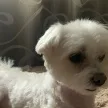 Оксана Горбунова