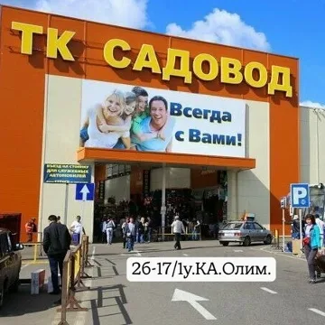 Носки трусы Садовод 2б-17/1у.КА.Олим