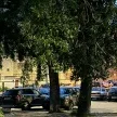 Ольга Косова